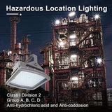 200W LED Explosion-Proof Floodlight, Hazardous Location Flood Lights,100-277V,5000K