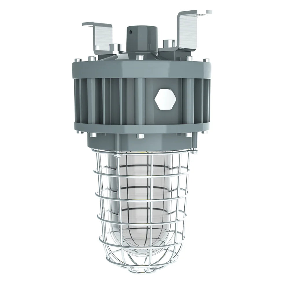 30W LED Explosion Proof Jelly Jar Light-Class 1 Division 1-5000K-100-277V-For Hazardous Location Lighting
