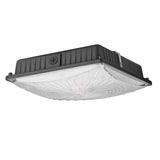 65W LED Canopy Light-8,775 Lumens-400W HID/HPS Replacement- Daylight White 5000K-AC110-Ceiling Lighting Fixtures