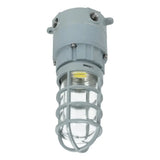 LED Explosion Proof Light 20W - Hazardous Location Class 1 Division 2 Light - UL Listed 5000K Industrial Lighting Fixture