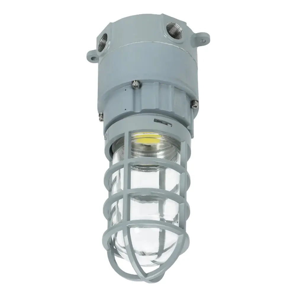 27W LED Explosion Proof Jelly Jar Light - Class I Division 2 Hazardous Location Light - 5000K 100-277V Dimmable - Industrial Cage Light Fixture