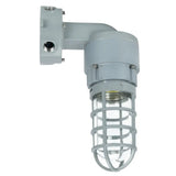 27W LED Explosion Proof Jelly Jar Light - Class I Division 2 Hazardous Location Light - 5000K 100-277V Dimmable - Industrial Cage Light Fixture
