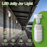 6-PACK LED Vapor Tight Jelly Jar Light 21W, 5000K, Wall/Ceiling Mount Vapor-Proof LED, IP65 Wet Rated Security Cage Light for Indoor and Outdoor Lighting, UL Certified - LEDLIGHTING WHOLESALE