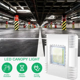 150 Watt  Led  Canopy Light-19500 Lumens-500W MH Equivalent-5700K-Surface Mount-UL DLC Listed-Gas Station Lighting