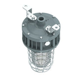 40W LED Explosion Proof Jelly Jar Light-Class 1 Division 1-5000K-100-277V-For Hazardous Location Lighting - LEDLIGHTING WHOLESALE