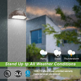 Half Moon Full Cut Off LED Wall Pack Light - 80W/64W/48W Wattage Selectable - CCT 3000K/4000K/5000K - AC 120-347V