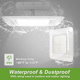 240W LED Canopy Light-AC 120~277V-CCT 5700K-0~10V Dimming - Lumen Output 33,600 Lumens-UL & DLC 5.1 Listed