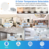 30 Pack-6 inch 12W Ultra-Thin LED Recessed Downlight-Canless-Selectable CCT-Dimmable-2700K/3000K/3500K/4000K/5000K - LEDLIGHTING WHOLESALE