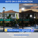 LED Decorative Post Top Light-30/50/60W Wattage Selectable-3000K/4000K/5000K CCT Adjustable-AC 100-277V