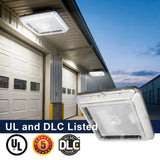 LED Parking Garage Canopy Light-Selectable Wattage and CCT-Up to 13,000 Lumens-60W / 80W / 100W-3000K/4000K/5000K