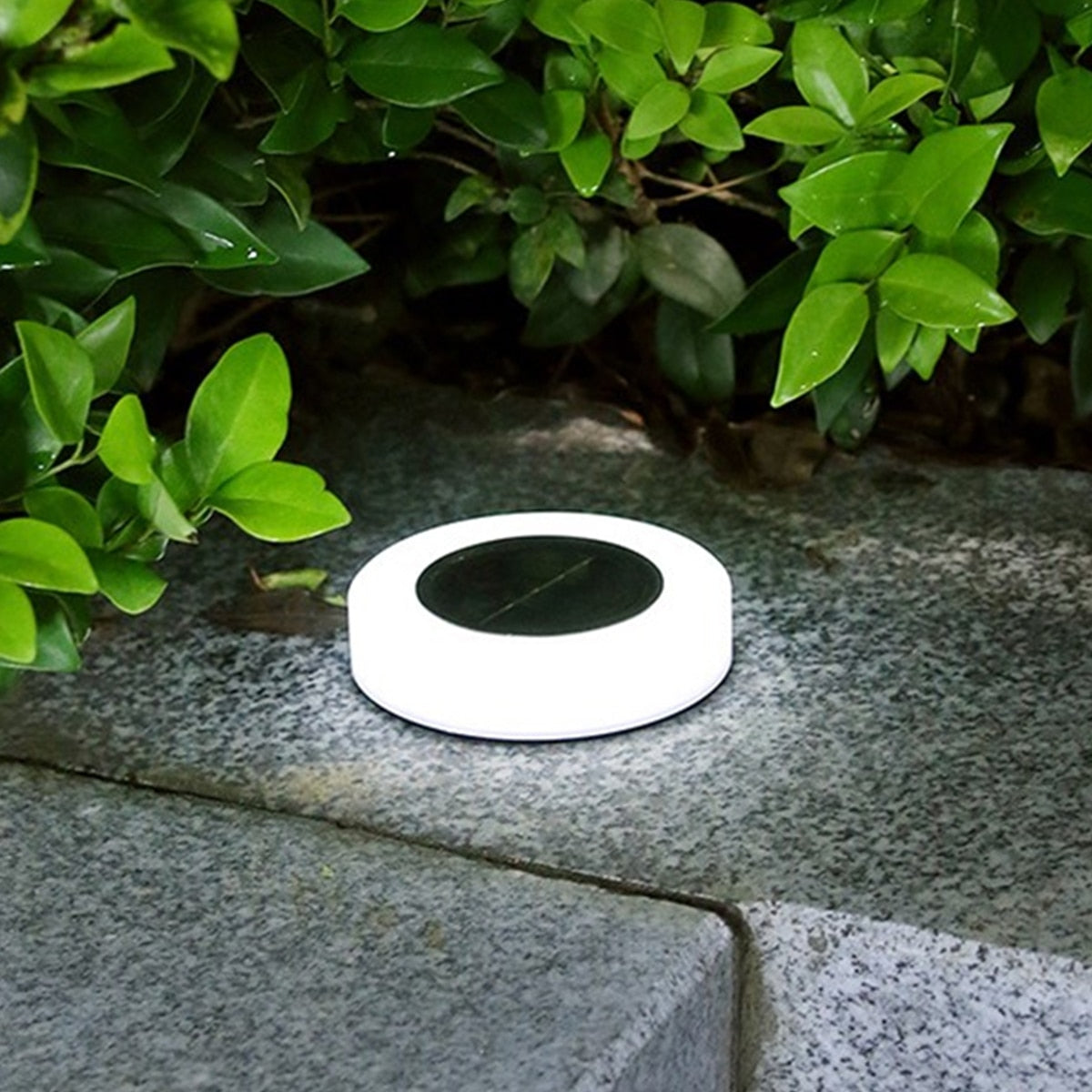 Solar Garden Lights-For Landscape PathWay Floor Under Spot Lamp - LEDLIGHTING WHOLESALE